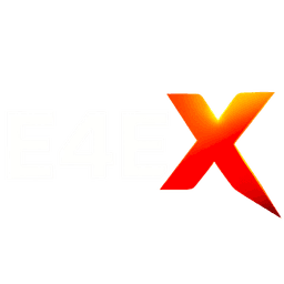 E4EX Maths Academy